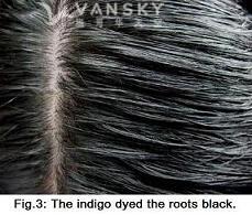 230919155124_Hair-Dyed with indigo-s.jpg